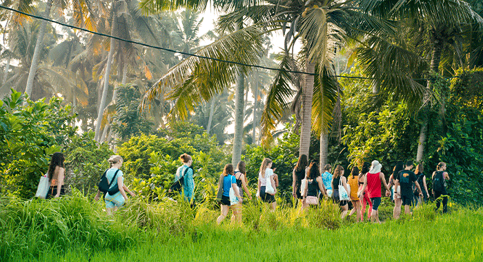 nature-walk-in-bali