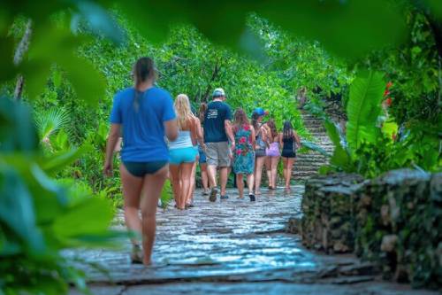 nature-walk-in-bali