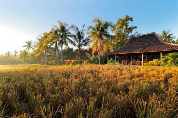 yoga training bali