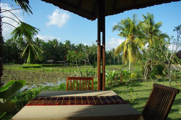 Bali Ubud Yoga